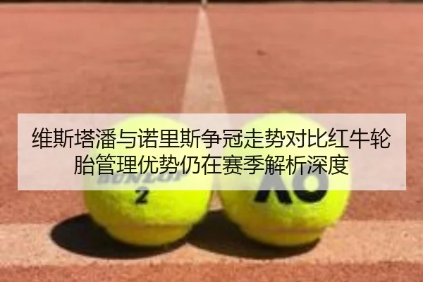 维斯塔潘与诺里斯争冠走势对比红牛轮胎管理优势仍在赛季解析深度